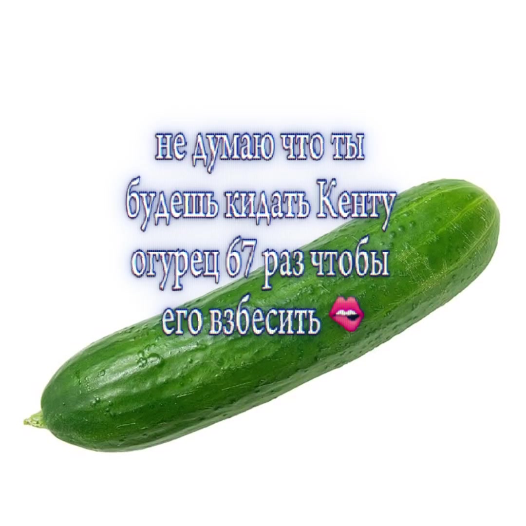 @ɸᴩиᴄᴀ ╥﹏╥