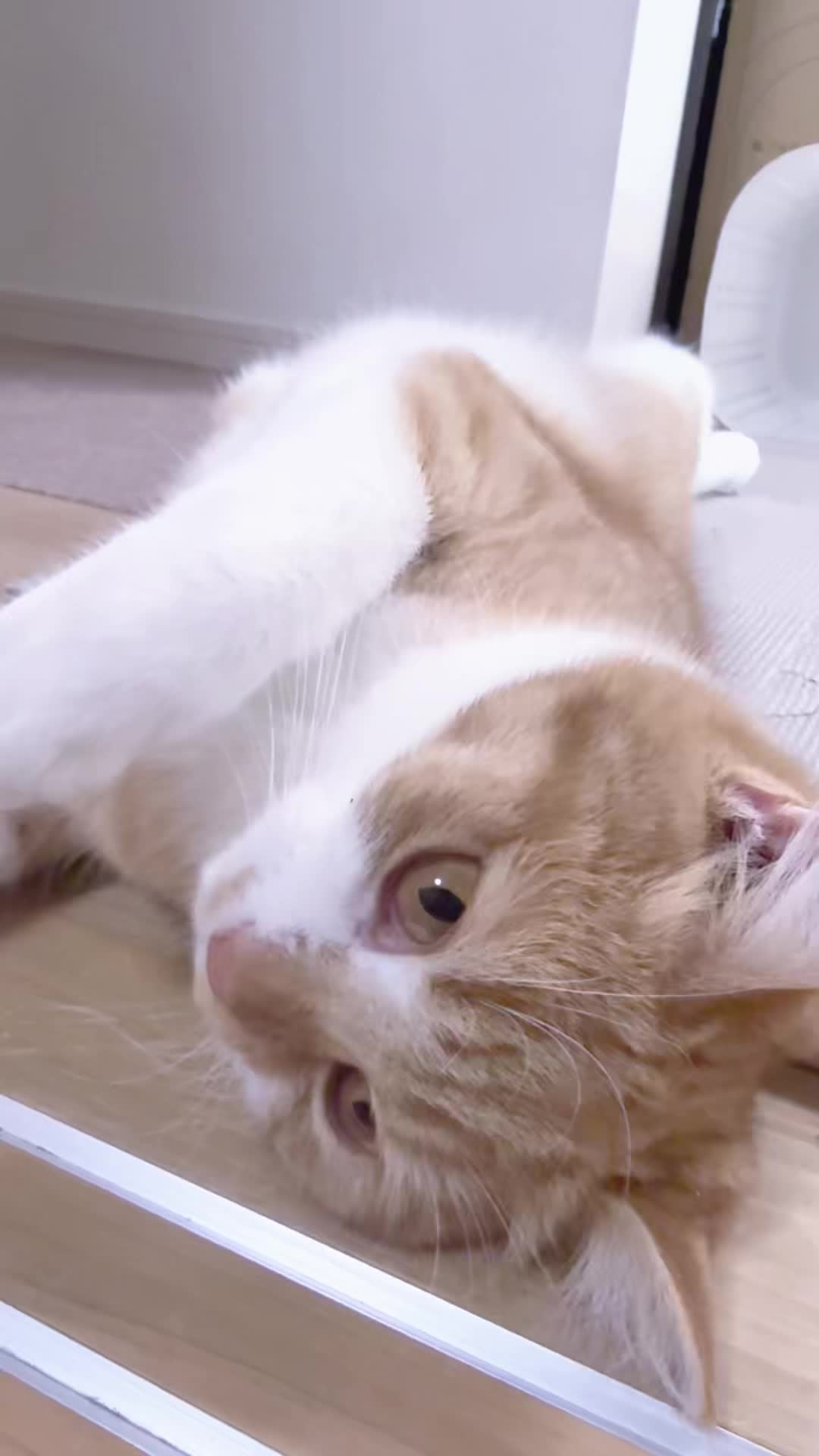 @マロン