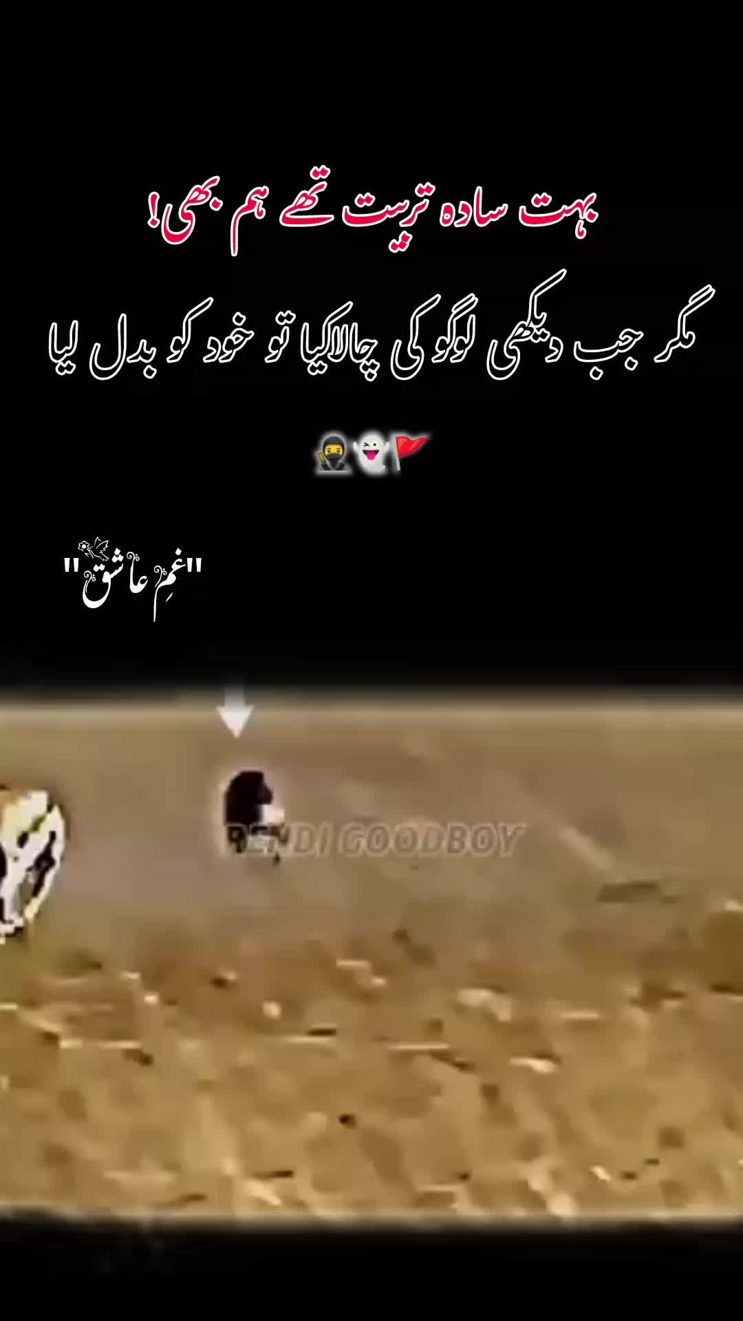 @𝙂𝙝𝙖𝙢 𝙀 𝘼𝙨𝙝𝙞𝙦