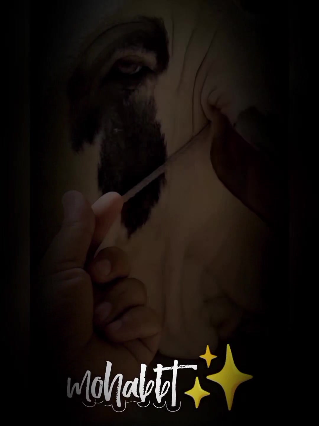 @๐ ๐ป๐๐๐ค๐๐๐๐ Usama ๐