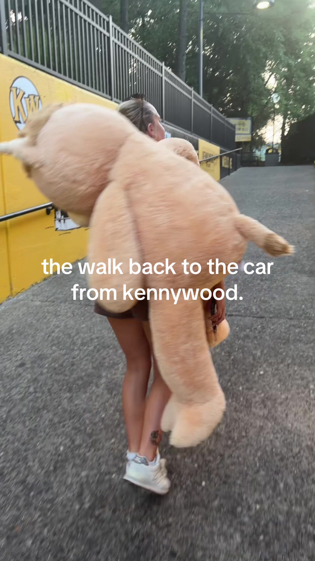 @shaye