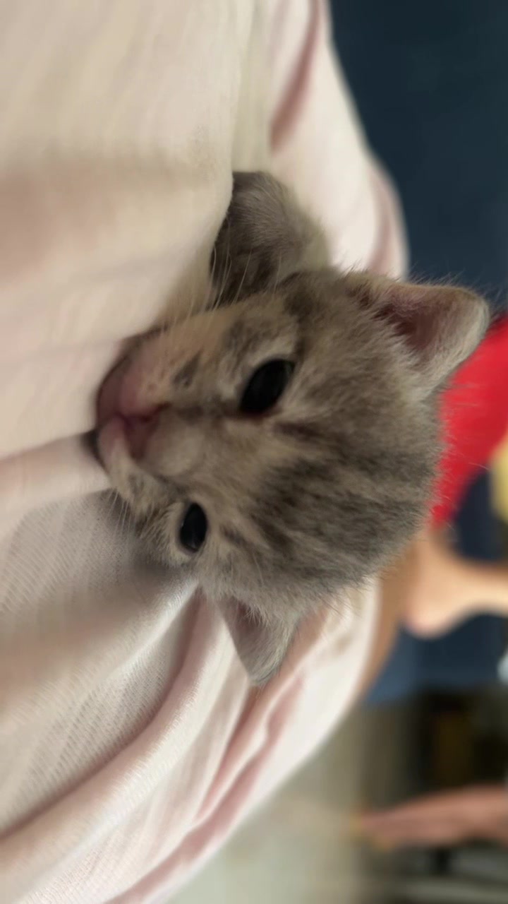 @salmazarrouk 🧸