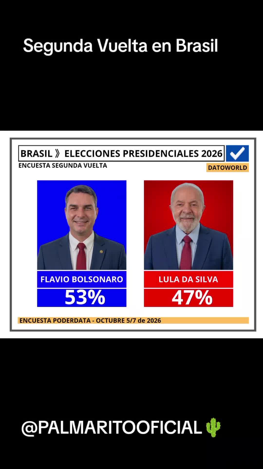 @PALMARITOOFICIAL 🌵