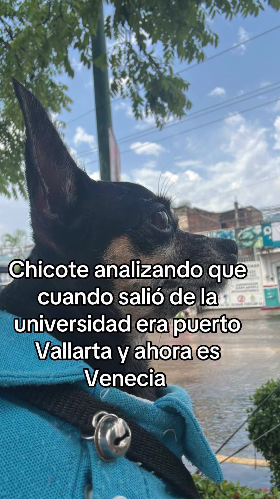 @🚩