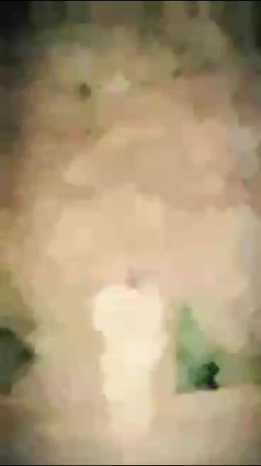 @dhungana tulsi969