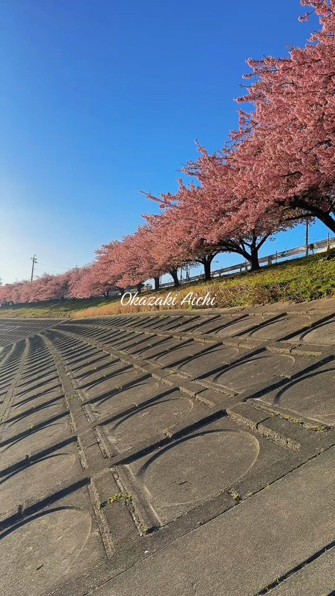 @JapanwithJk