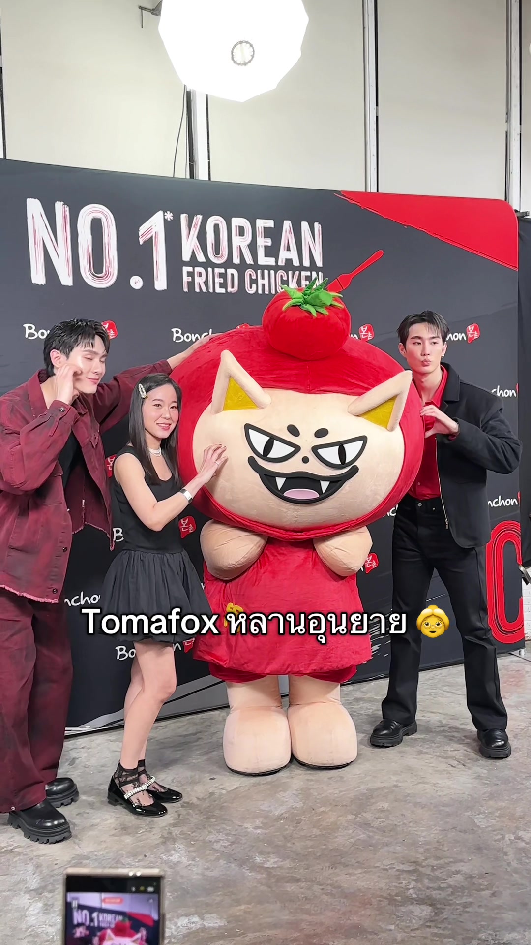 @NiksenNeko 🦊🍅