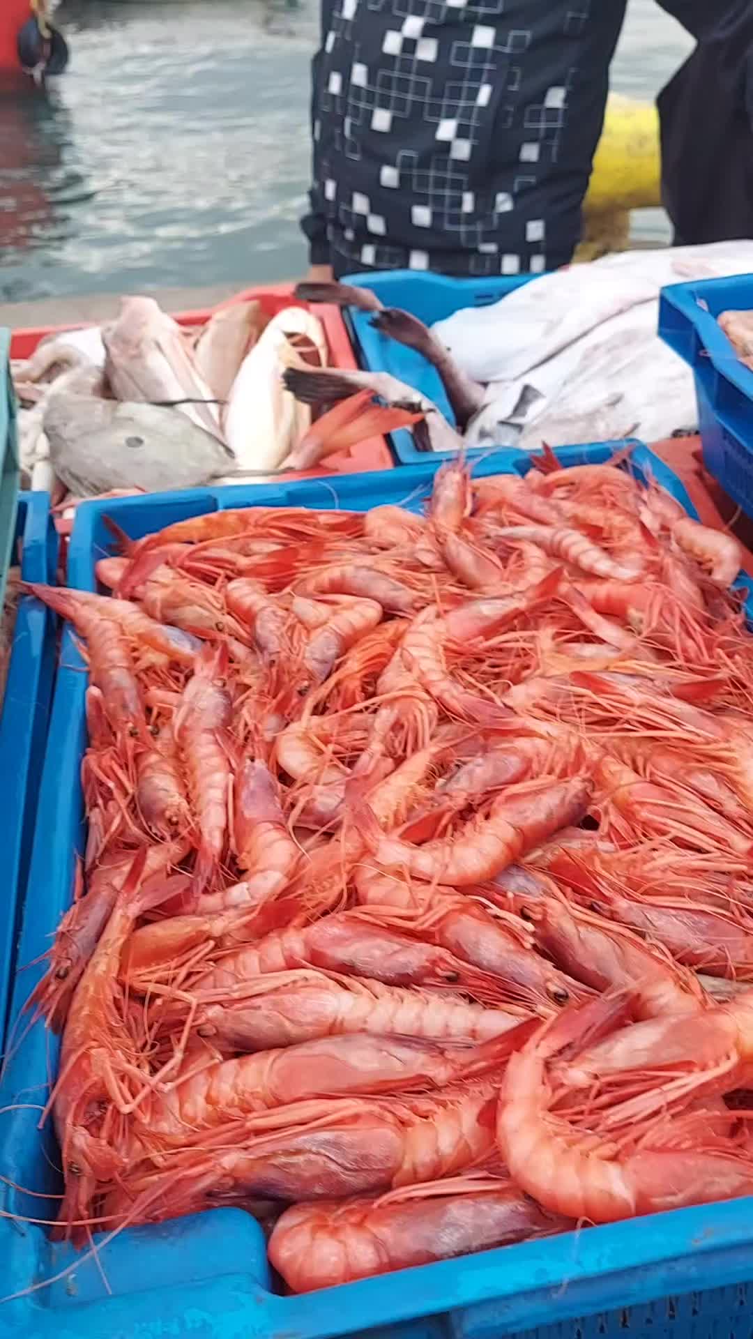 @Fouad p&ecirc;cheur