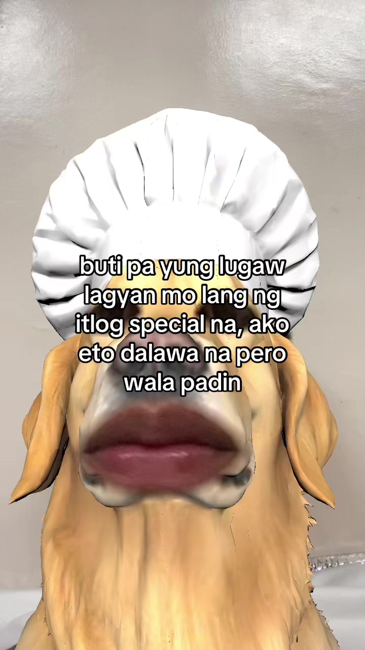 @Joshxh