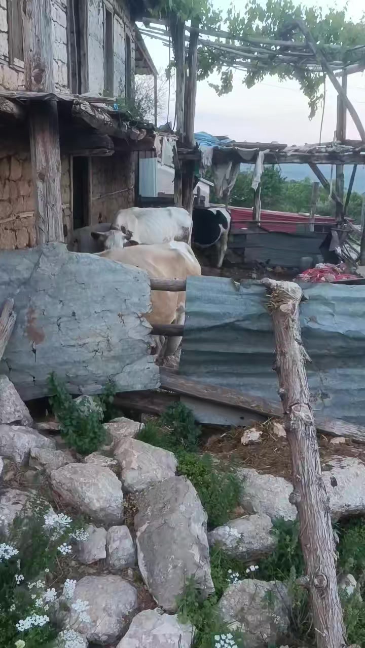 @ibrahim odabaş