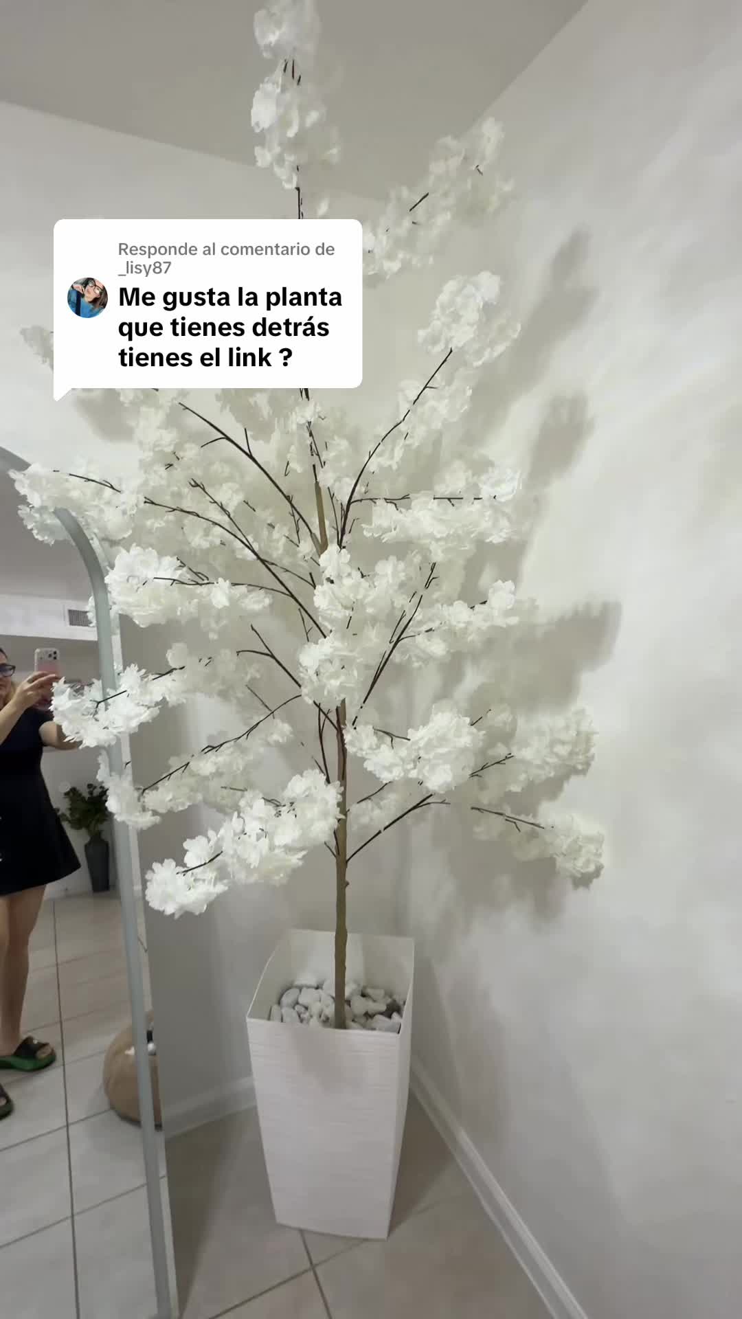 @Alicia