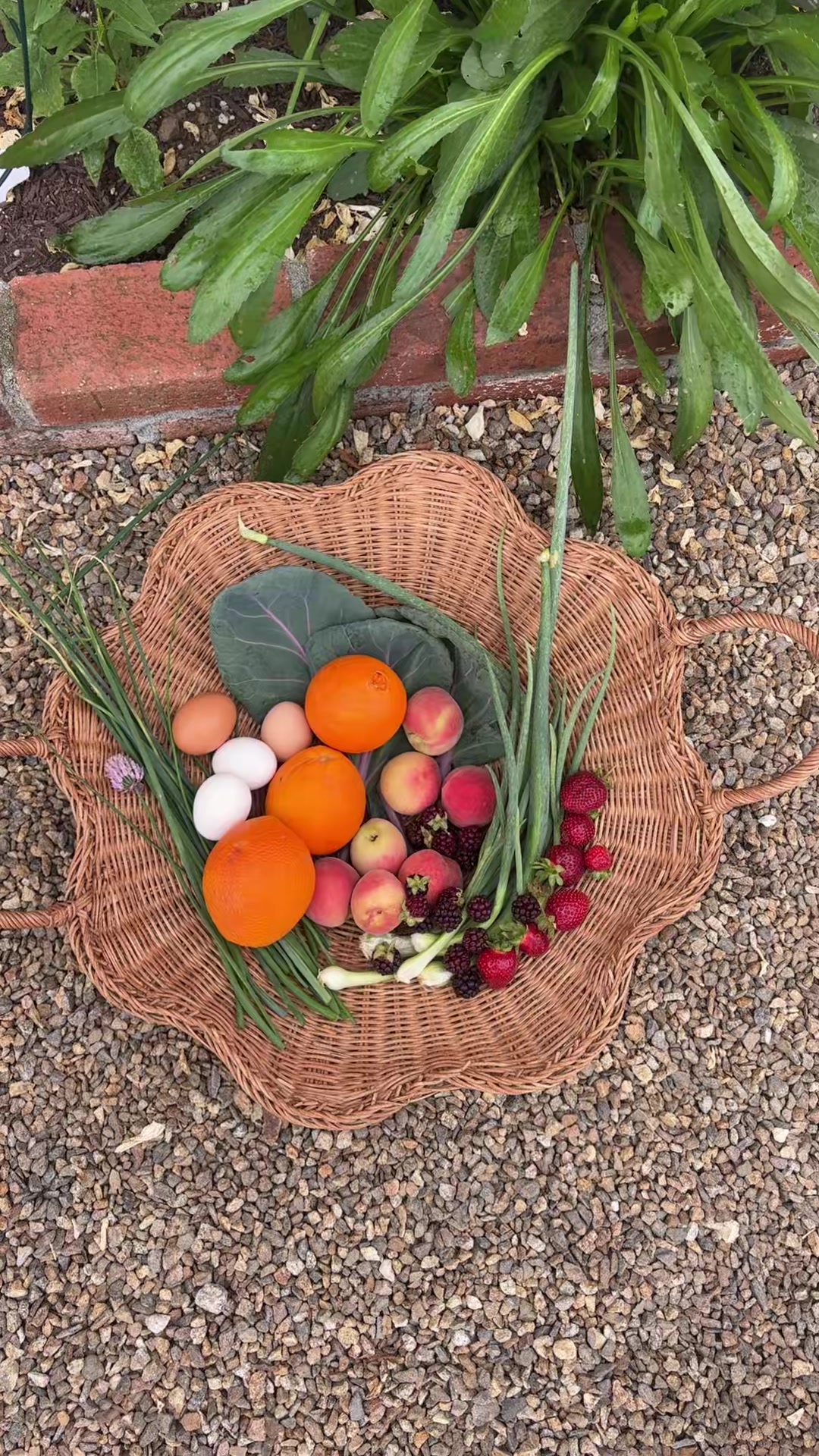@earthboundgardening
