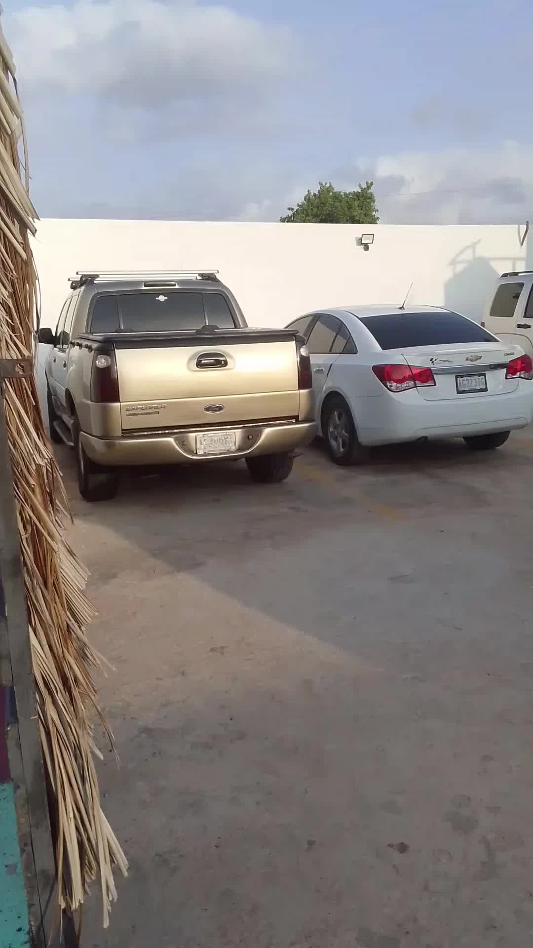 @Yoveinny Sanchez