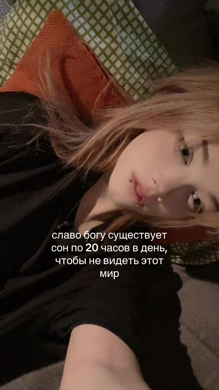 @лацертида
