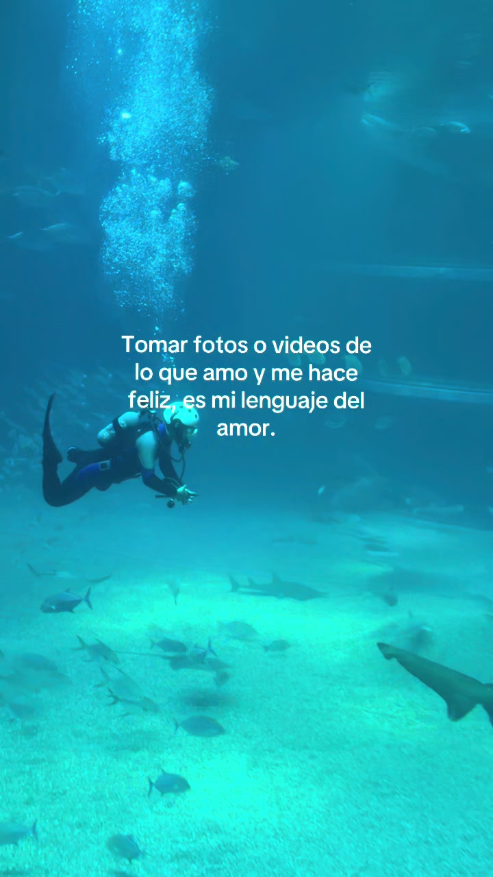 @odalischavezzz