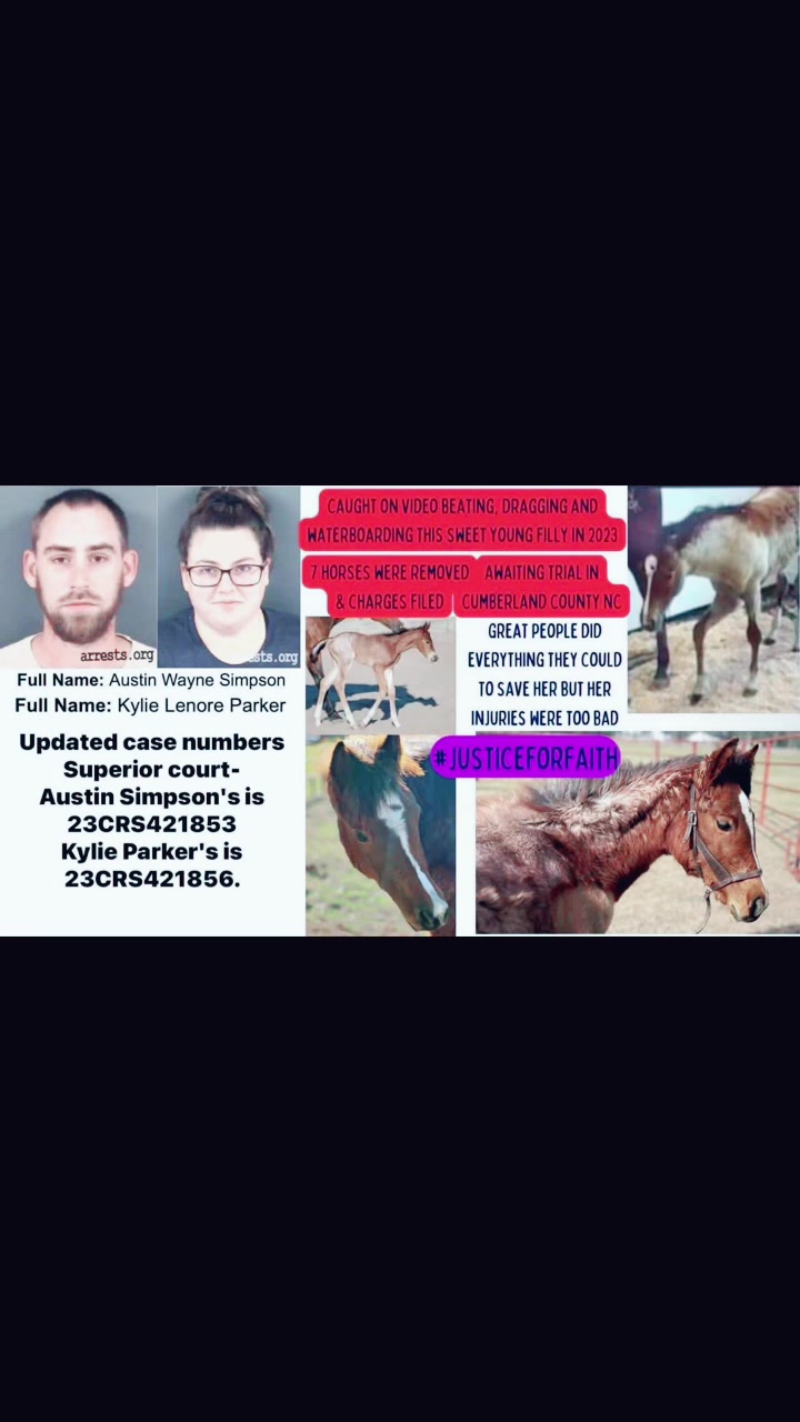 @Horselife