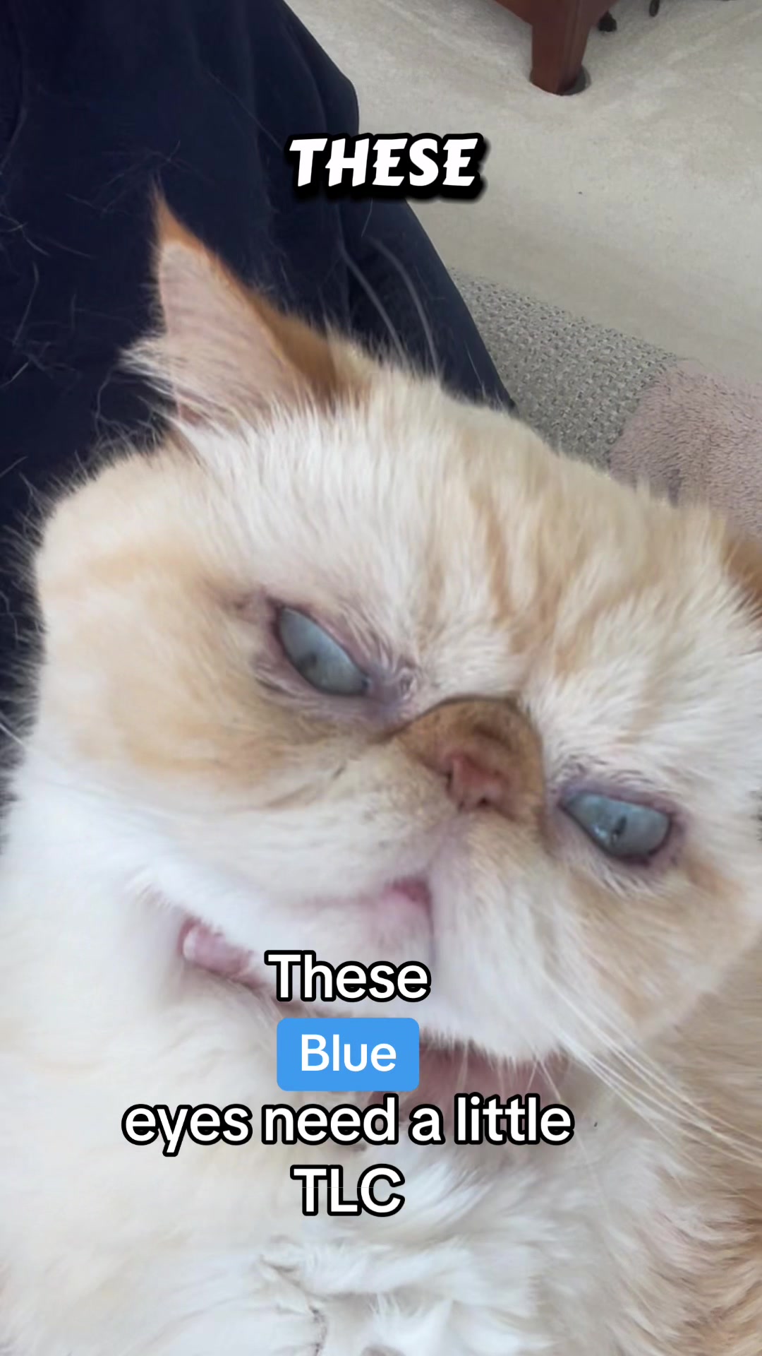 @Judith-i