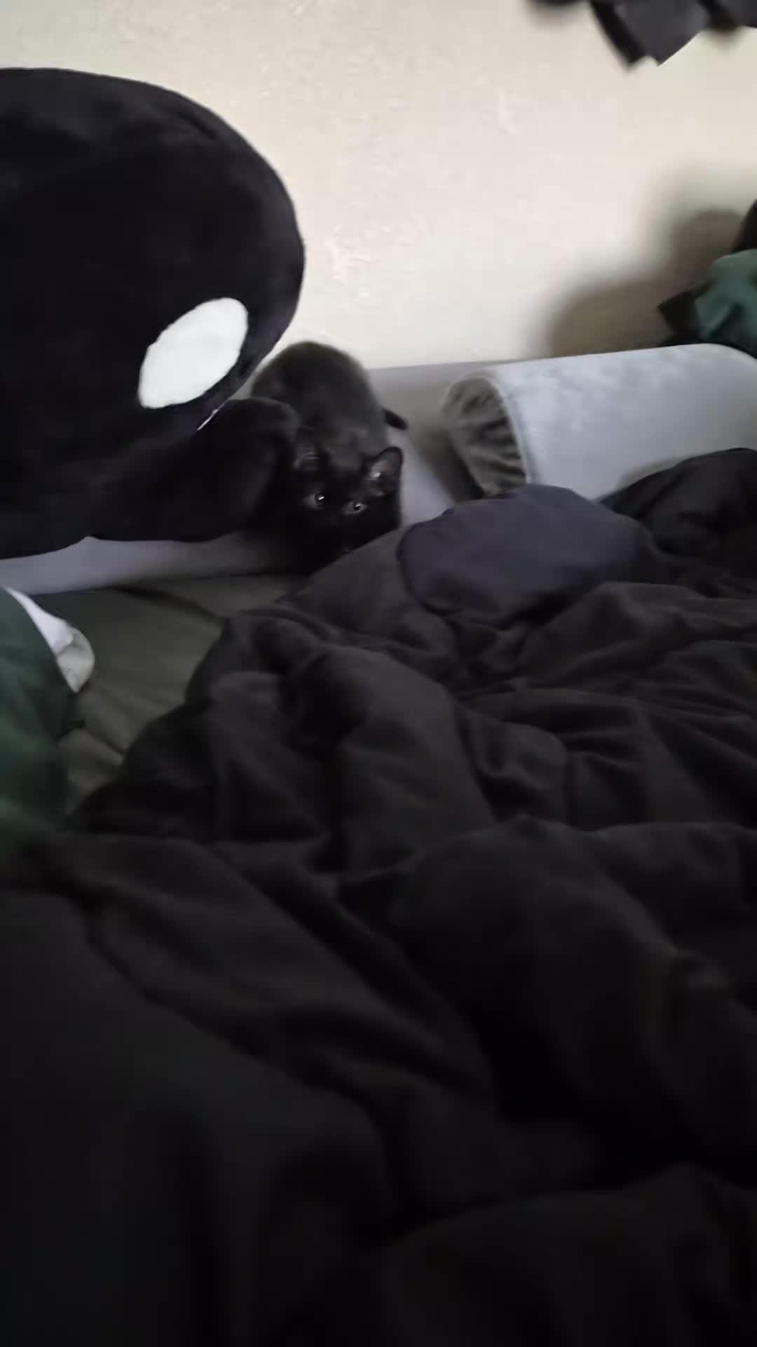 @Yaneli