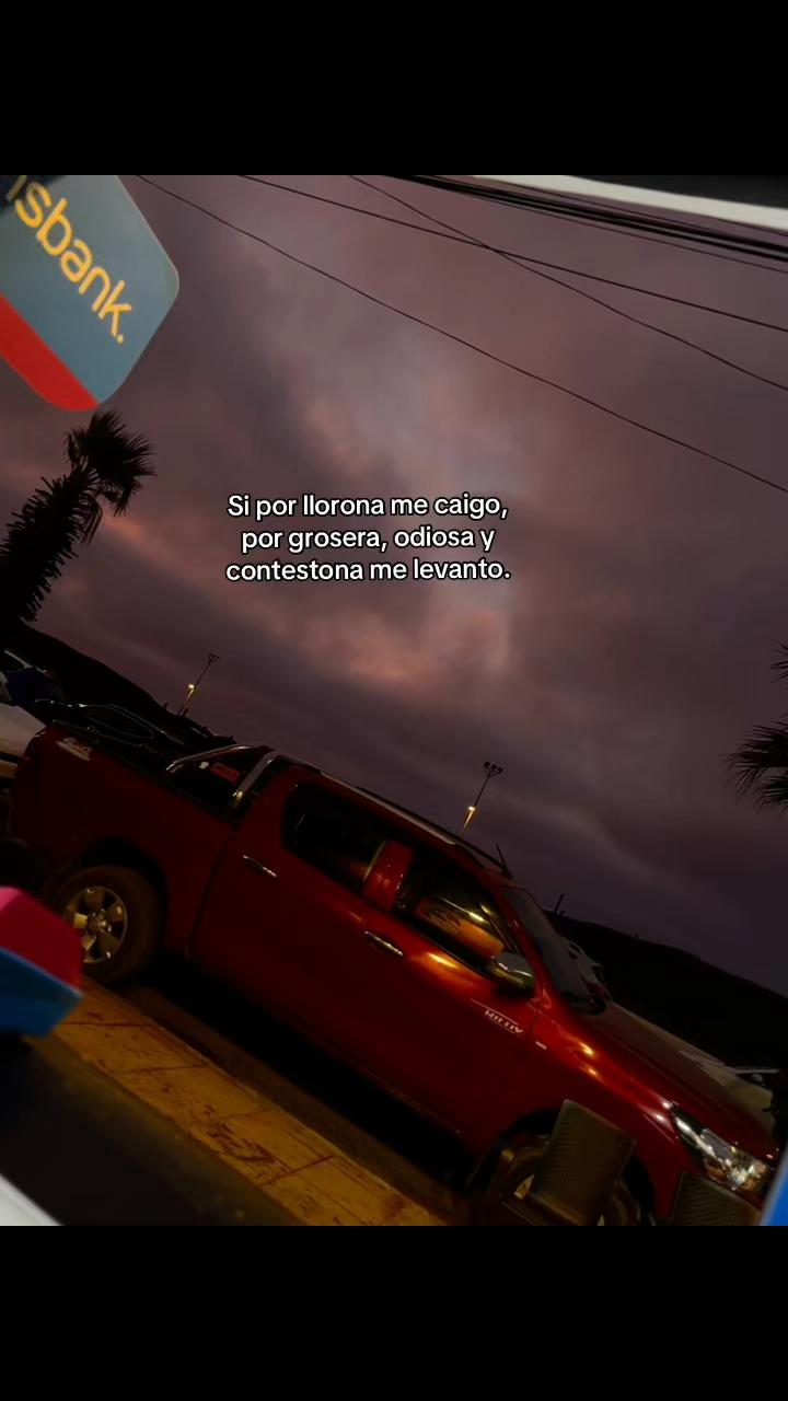 @Kisbe Andrade🤩
