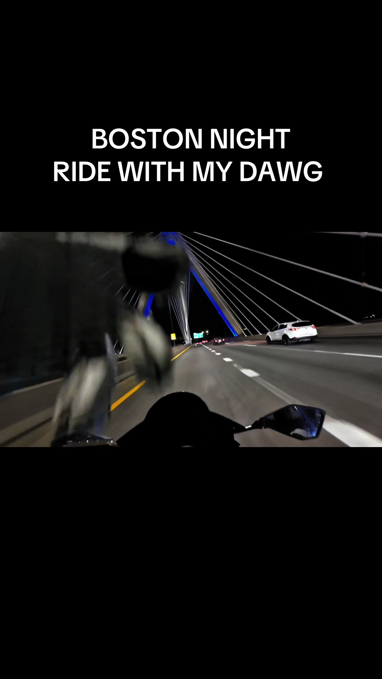 @david saia