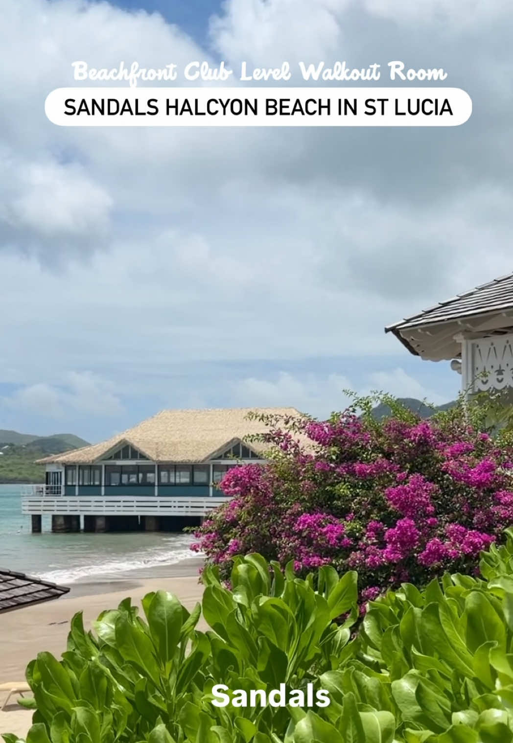 @Honeymoon Always ✈️