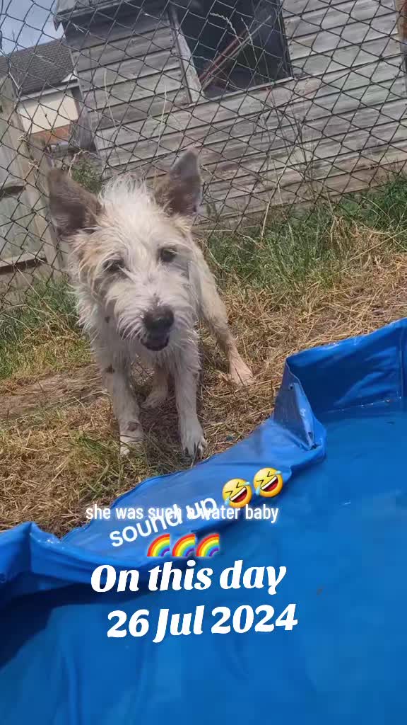 @claire🌈bellaBert Ernie💙Tonks