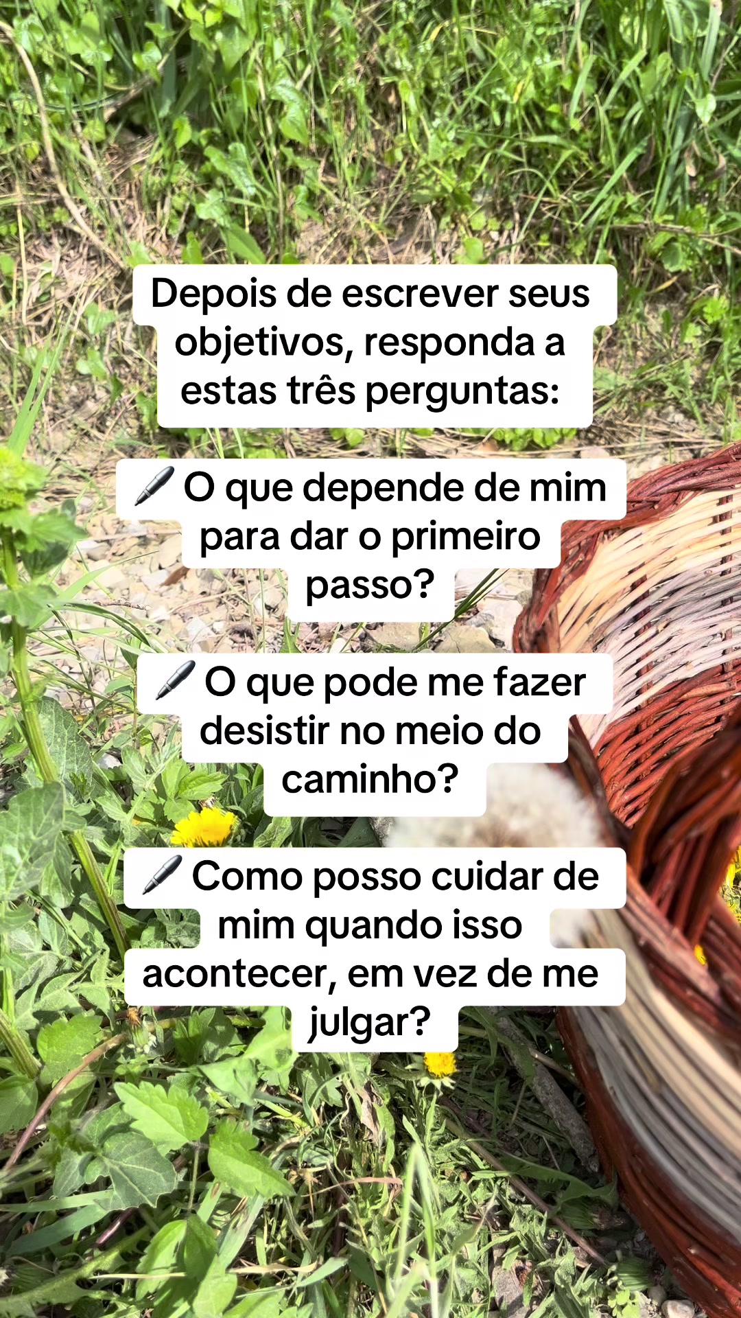 @Vanessa E. Santos | Terapeuta