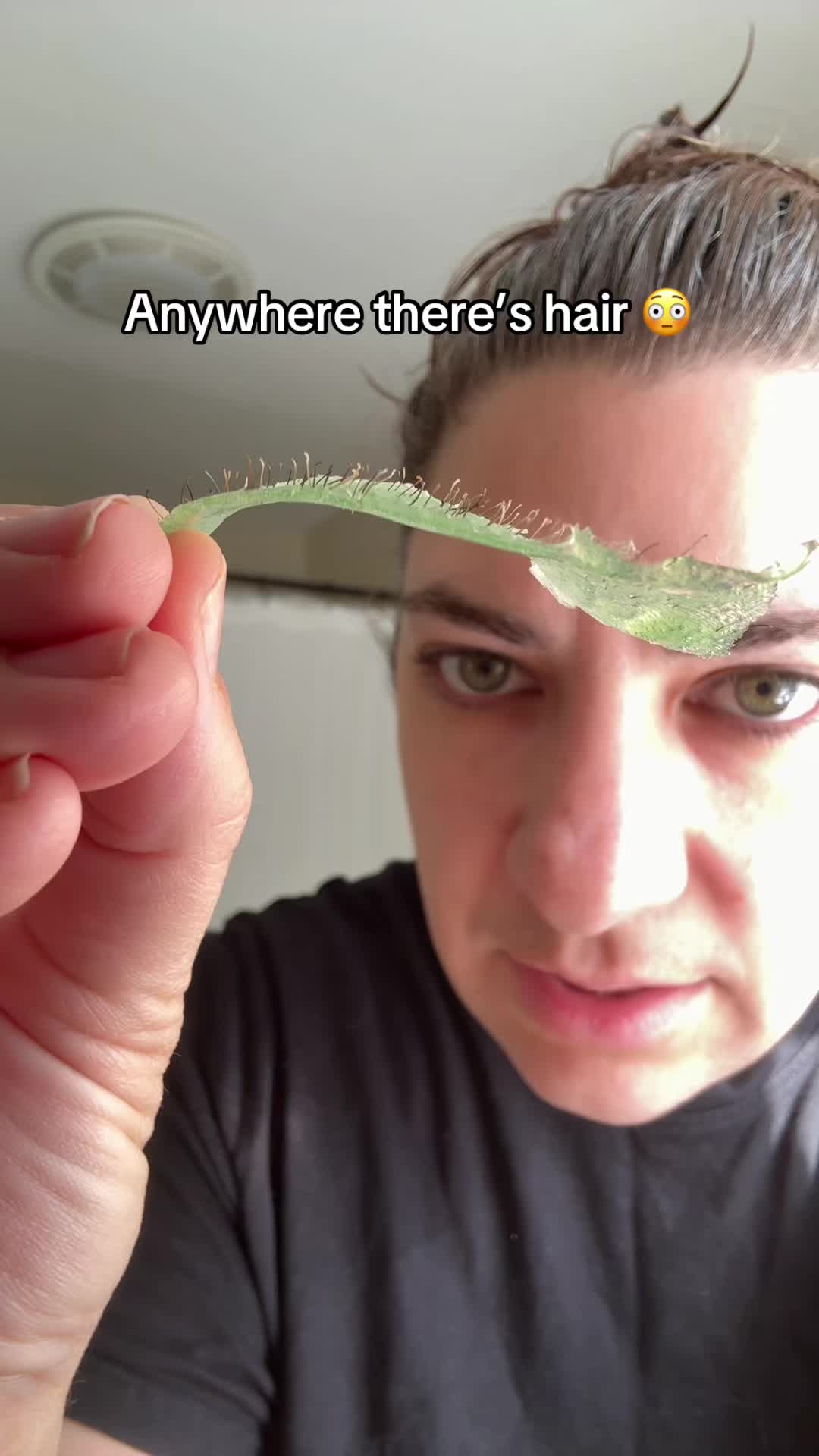 @noelle 🩵