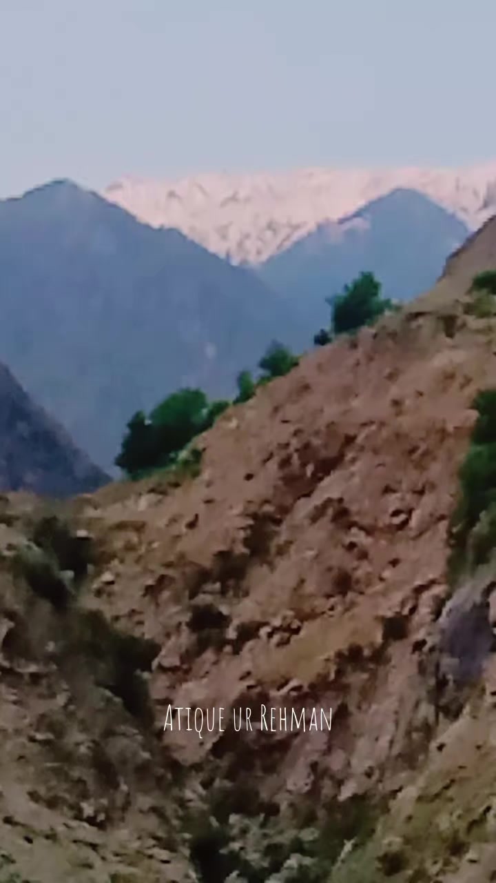 @atiqueurrehman44