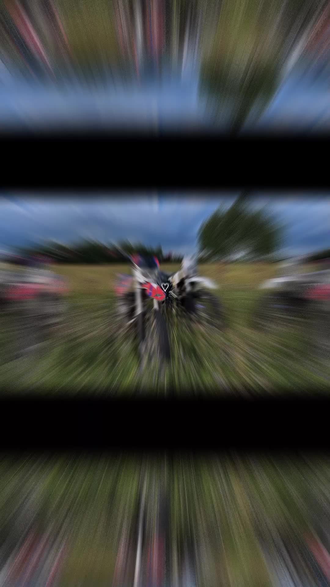 @🕷️