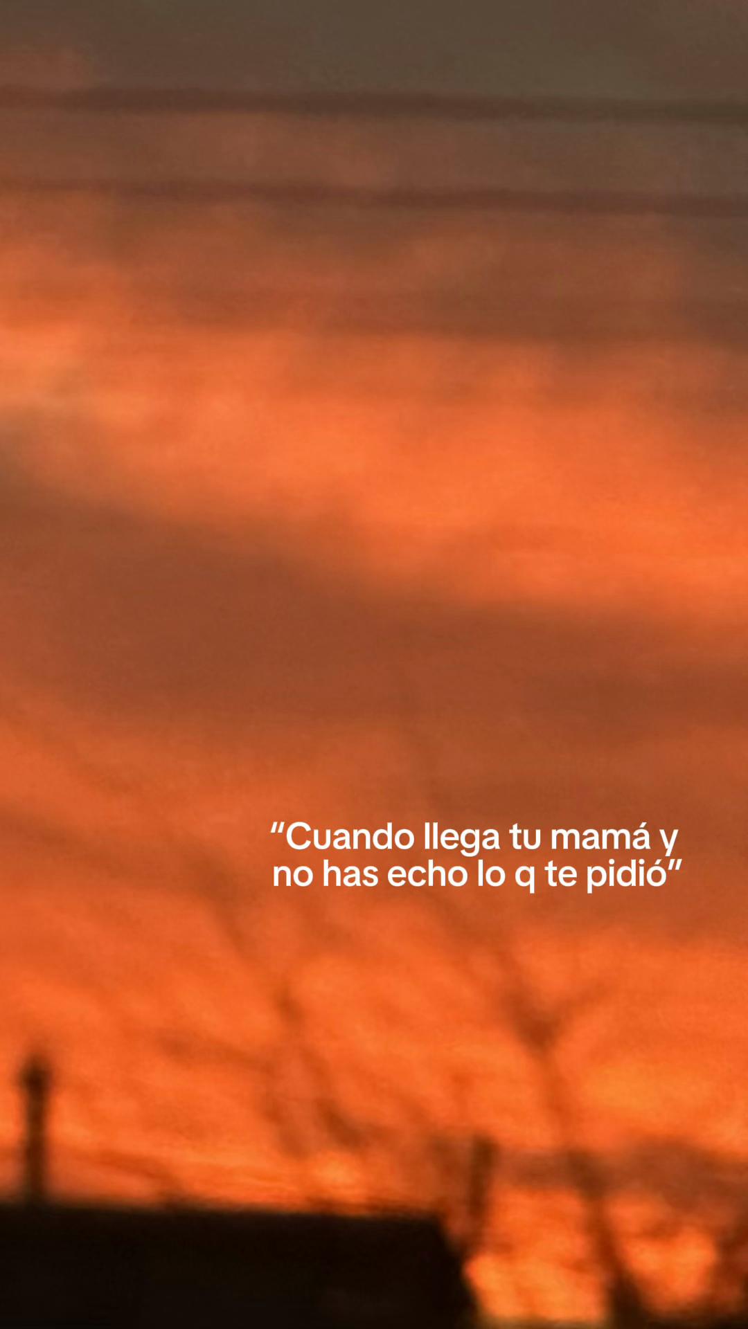 @🌳paz✌🏼vigevani🌳