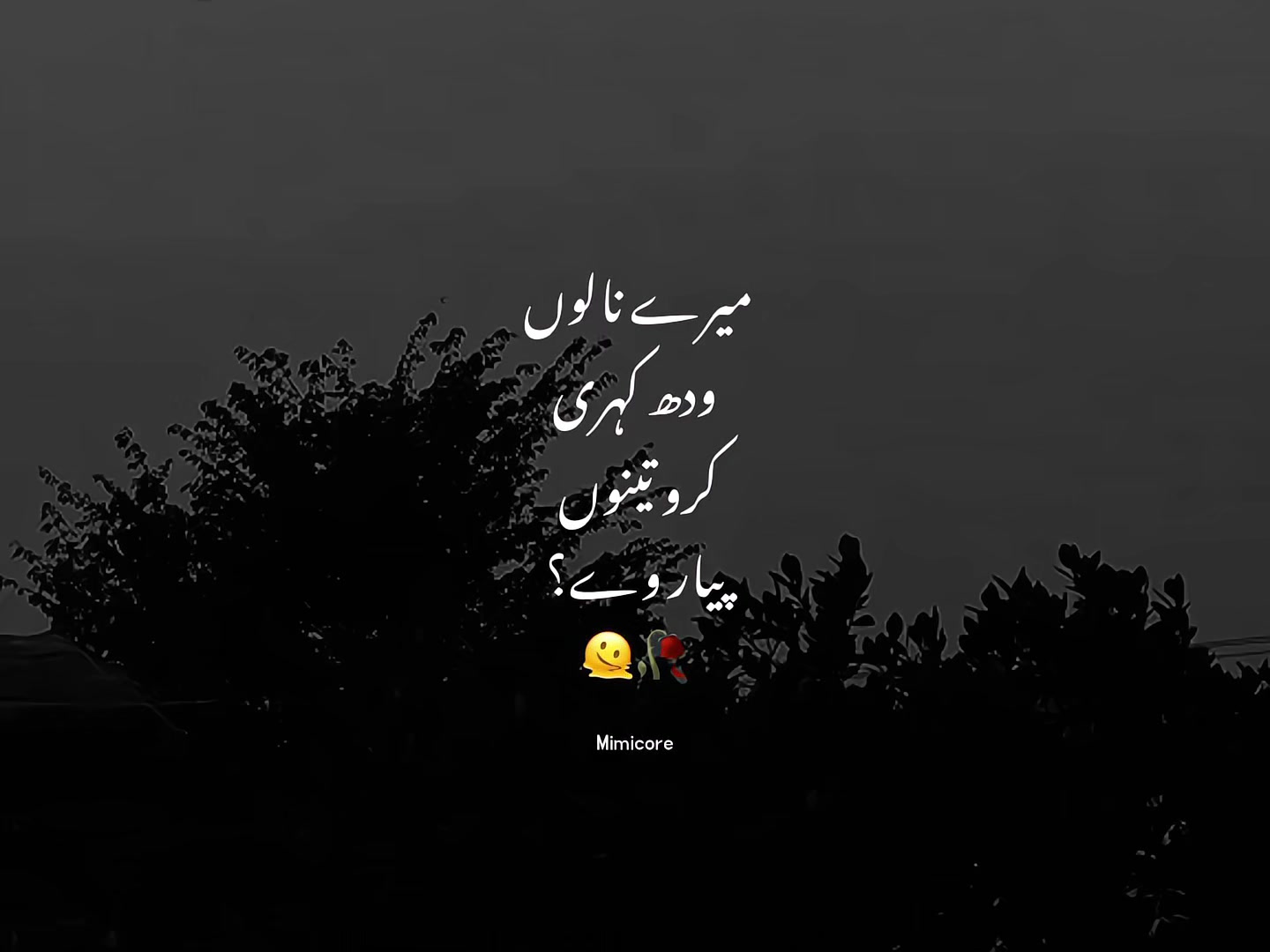 @𝑀𝒾𝓂𝒾 🚩