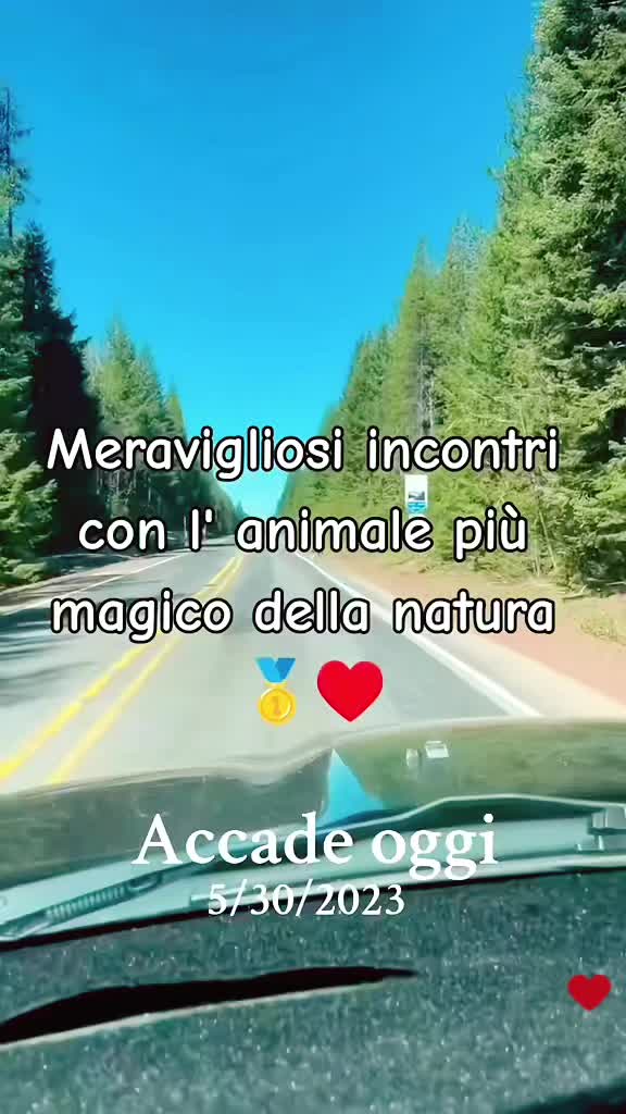 @VENNE DAL FREDDO 🥶