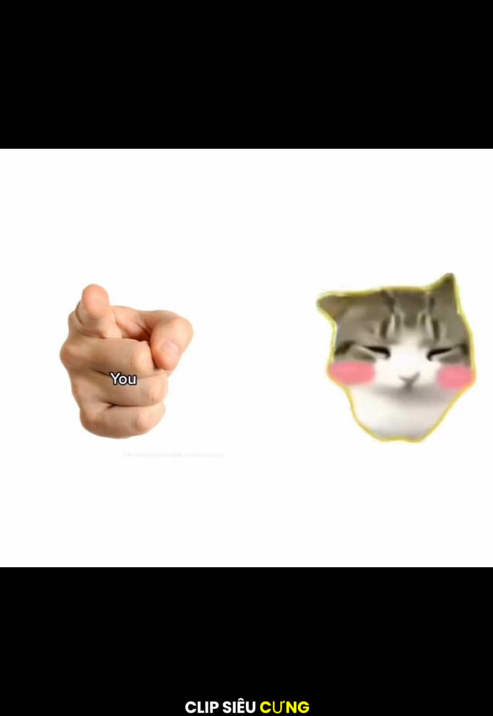 @socoo