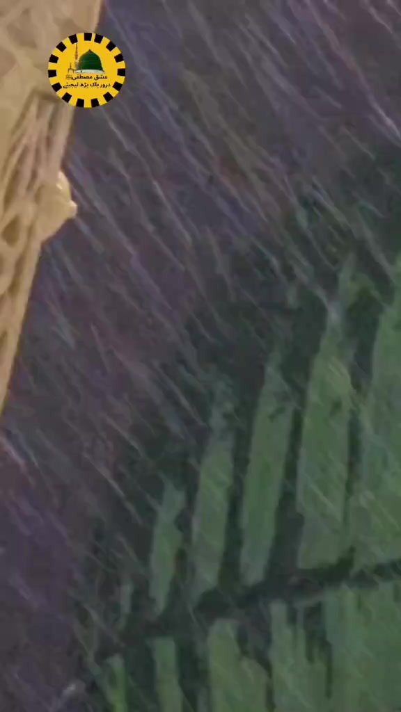 @⚜سردار عون نکئ⚜