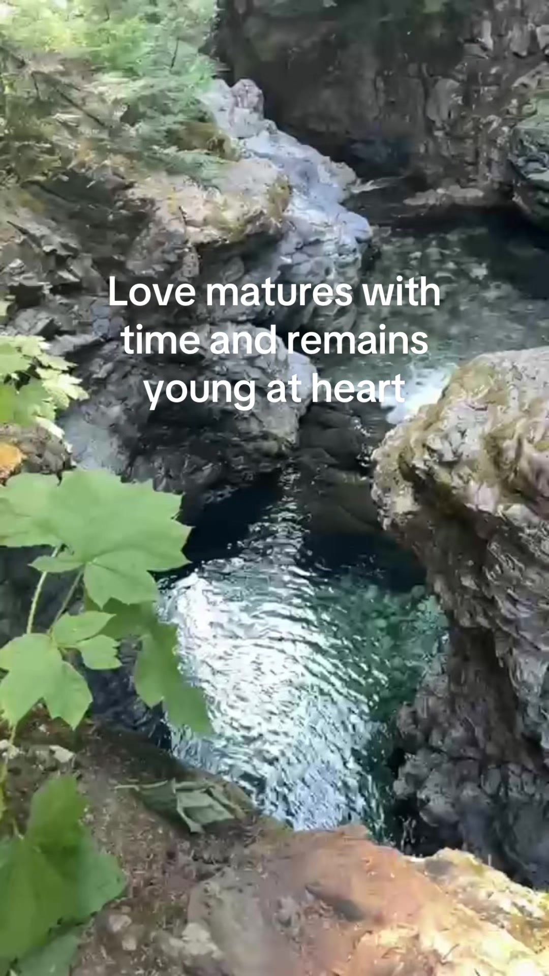 @auras_poems
