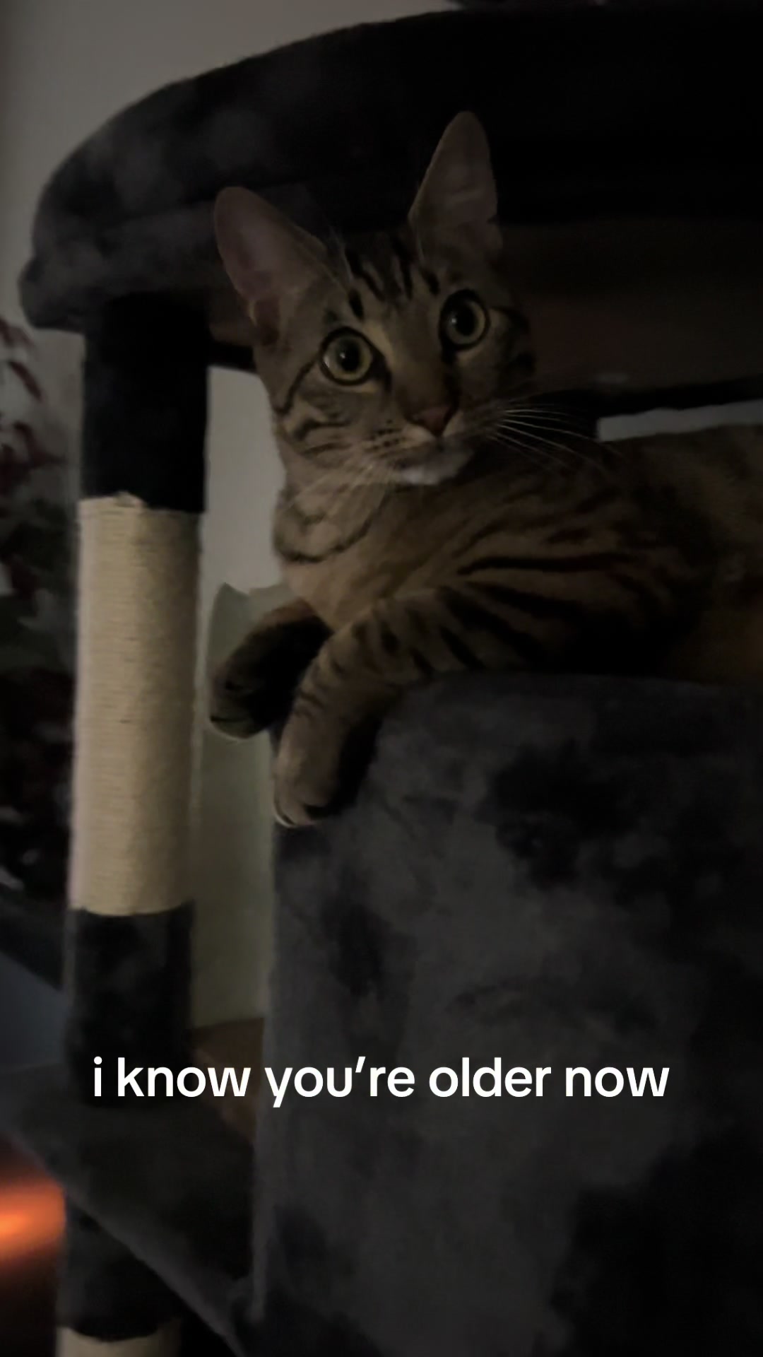 @🦦