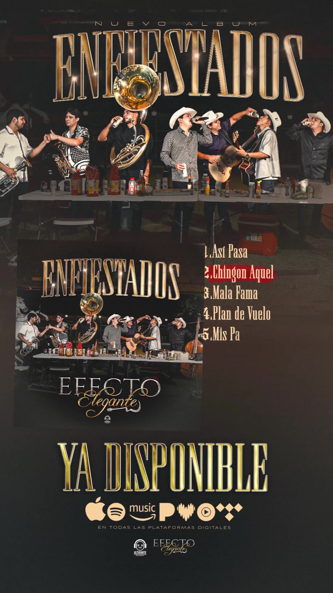 @efectoeleganteoficial