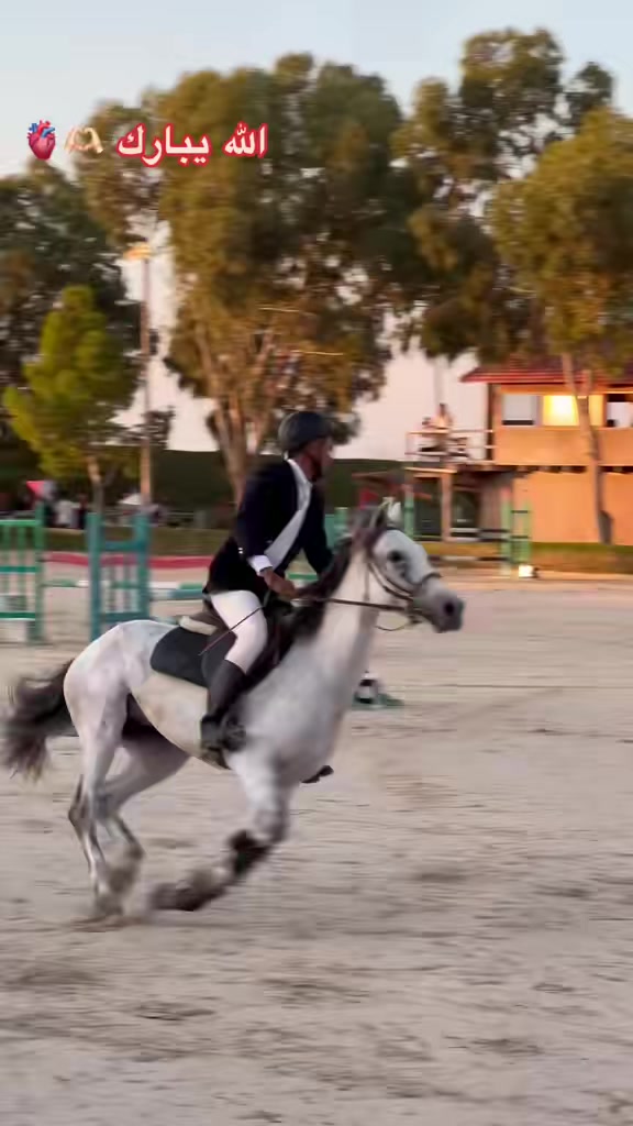@Feres Ben Amor 🏇