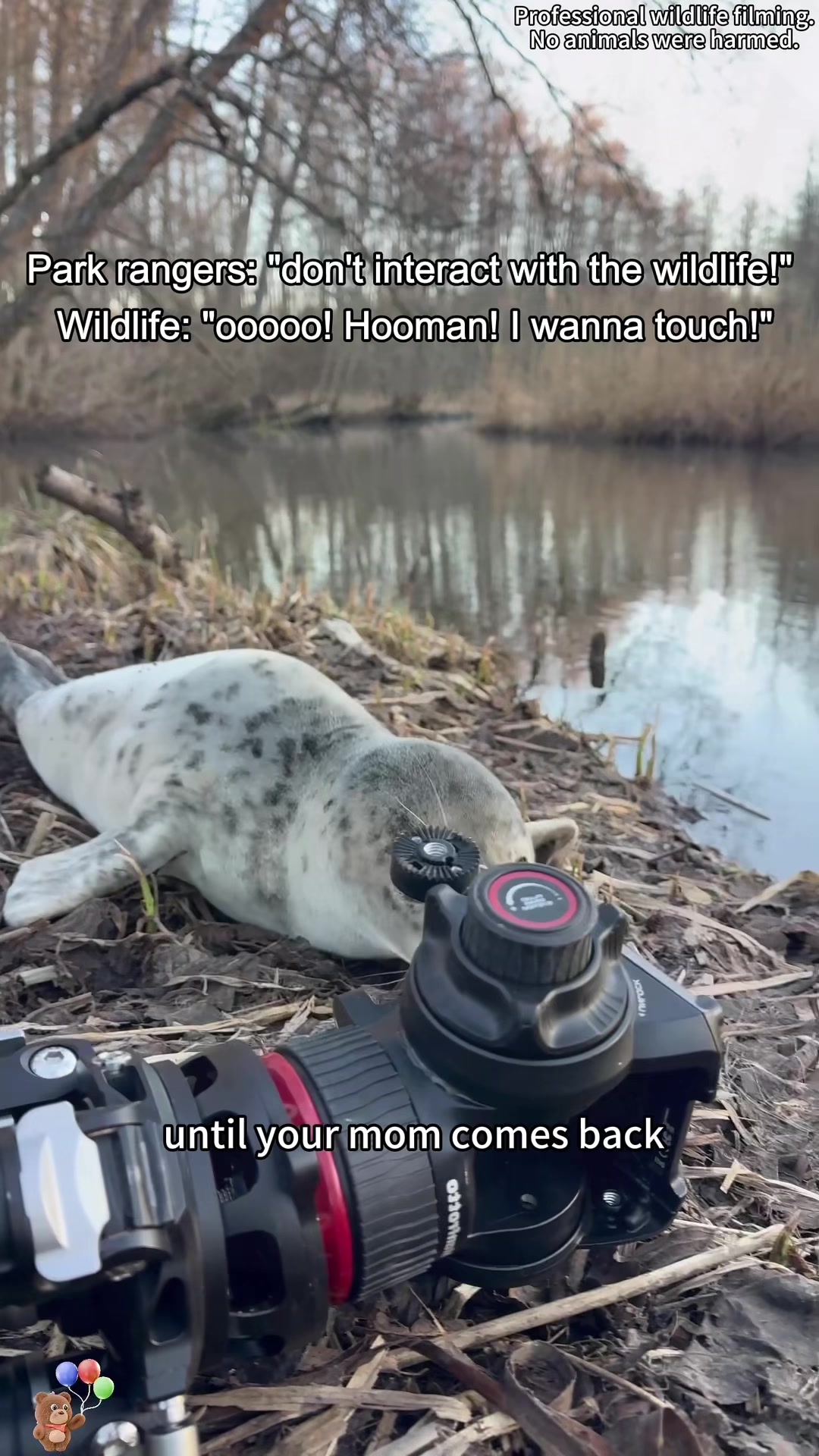 @SneakyFails