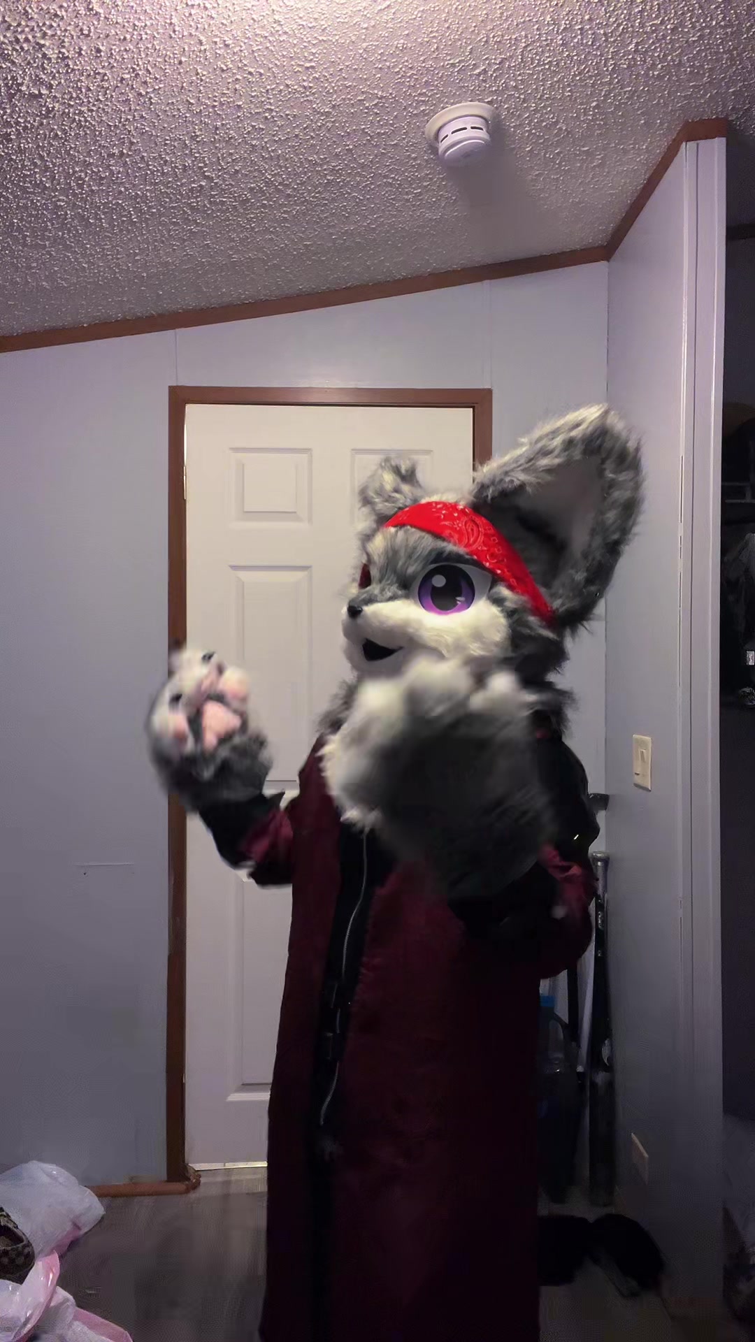 @karai_WolfDragon23