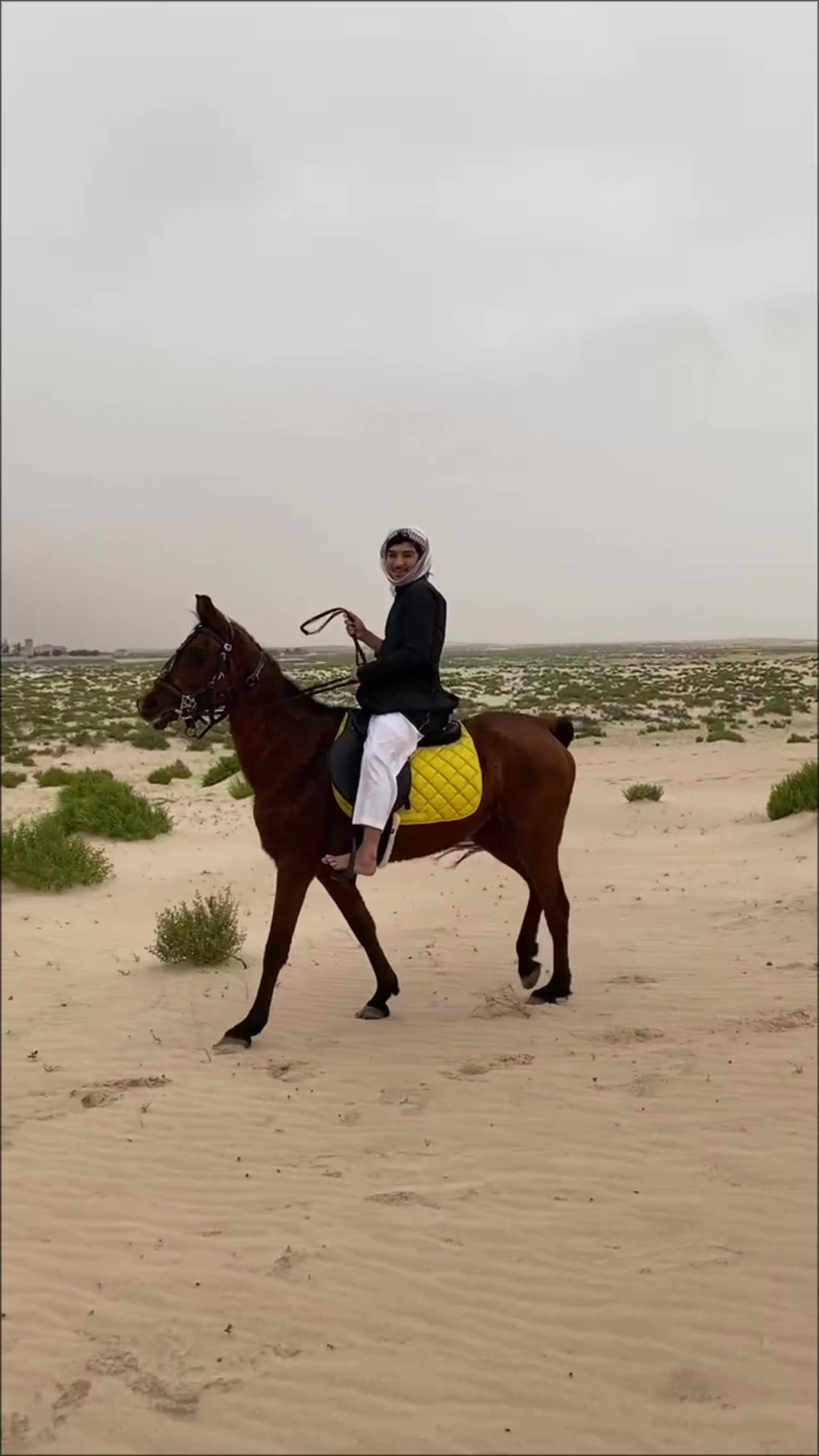 @محمد〽️🧣.