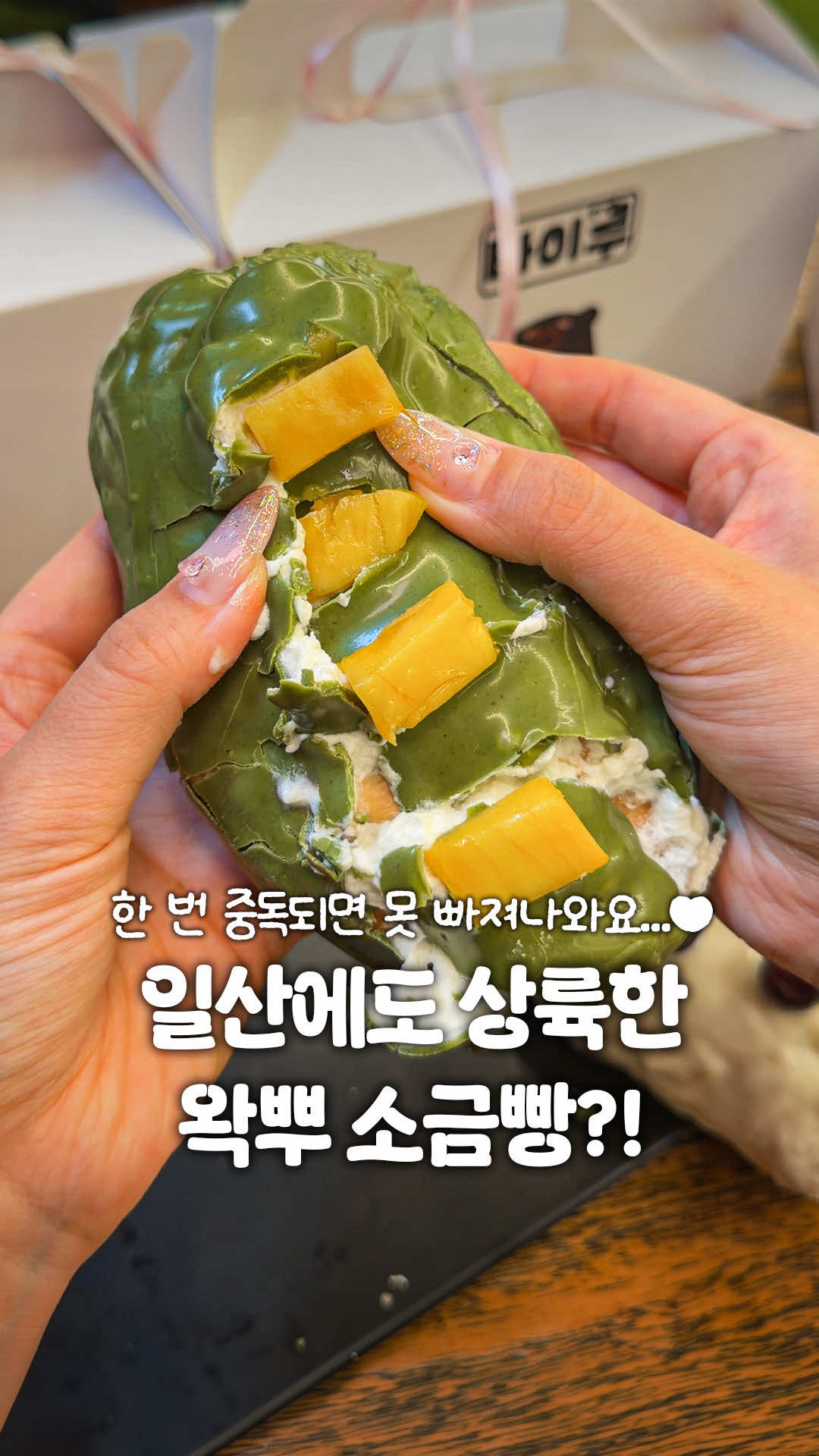 @일산갈고양