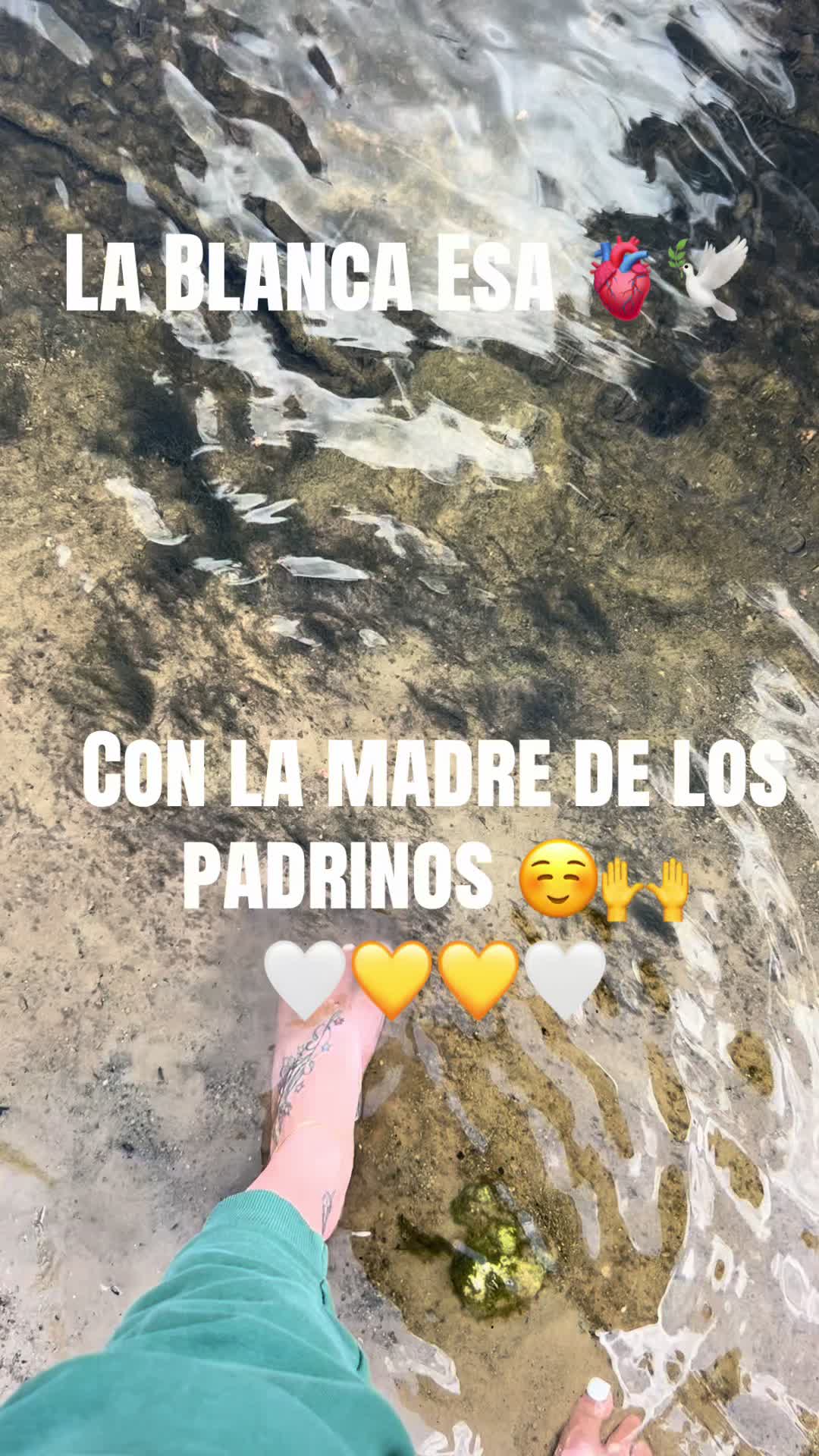 @Lacasadeeggun🤍🖤
