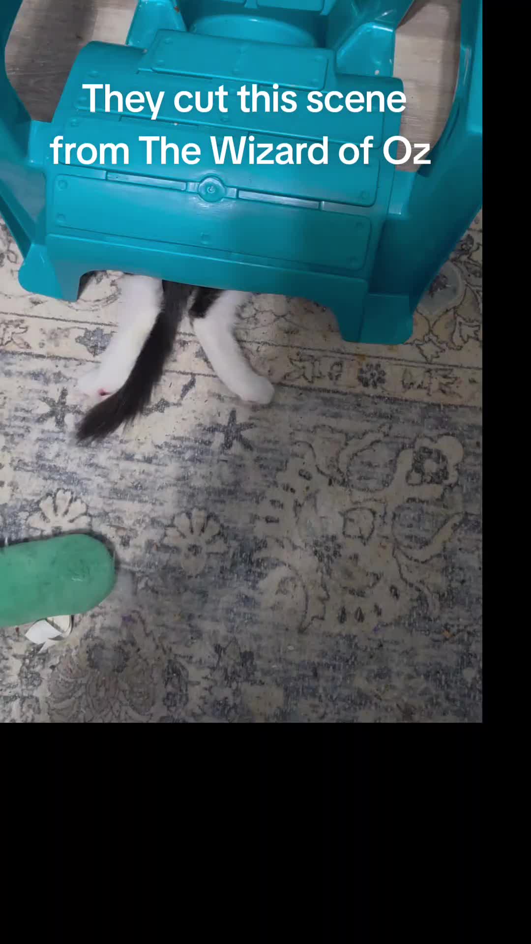 @Little Bit Wildlife Rescue