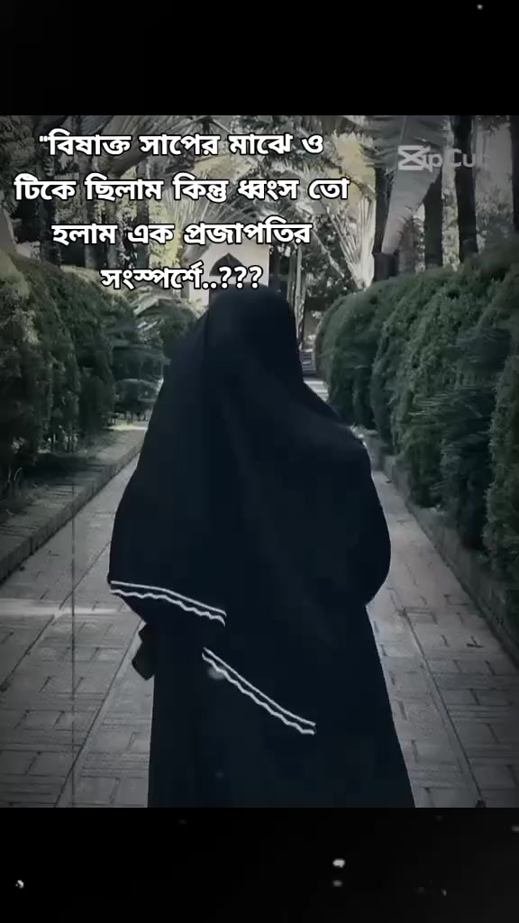 @đĻSˤh˞ízĖękˤaˤđĻ