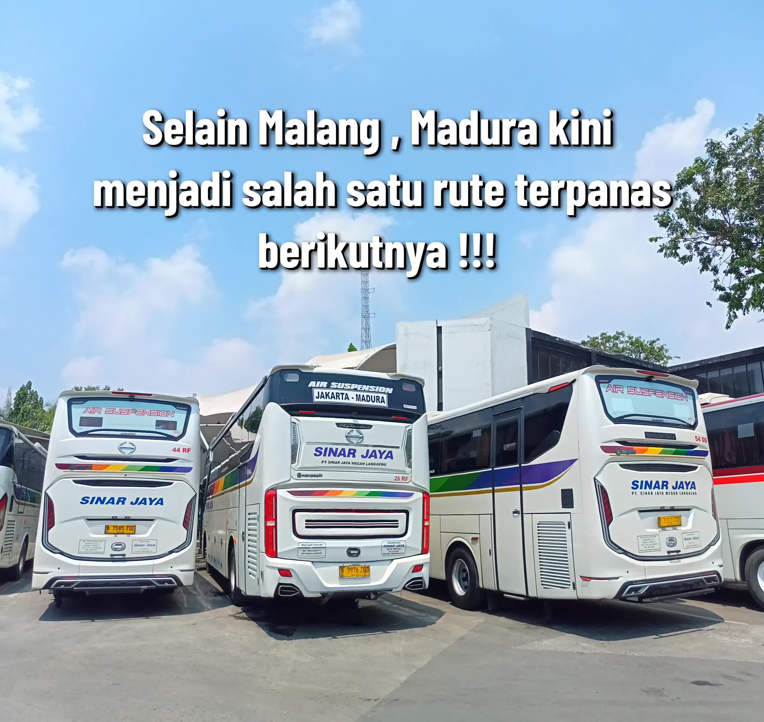 @Memet Motret