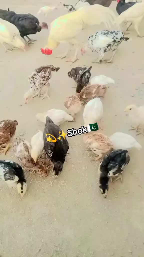 @@Atiq