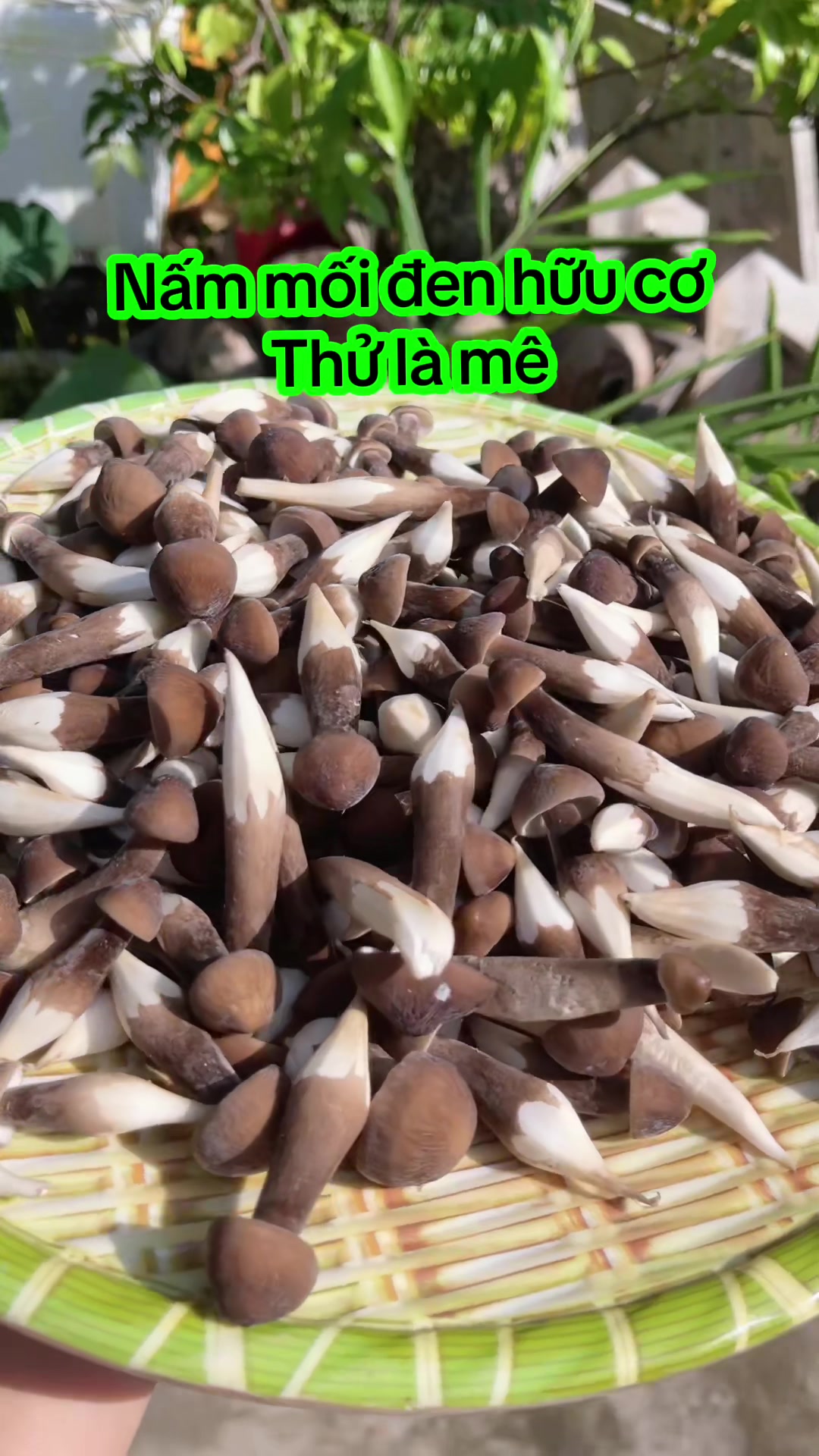 @nguyentuyet_79