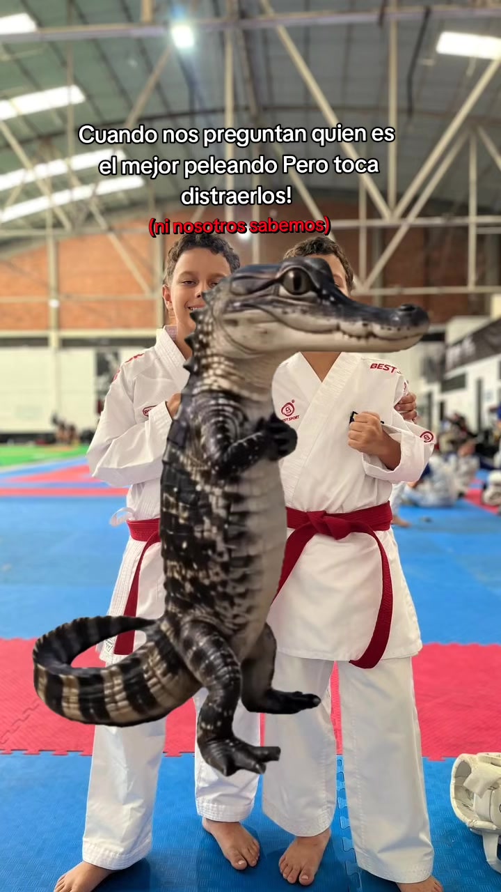 @gemelospower